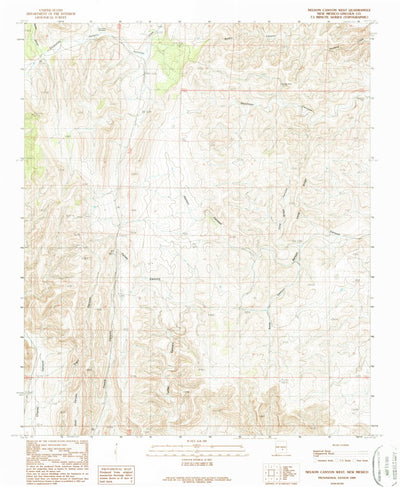 United States Geological Survey Nelson Canyon West, NM (1989, 24000-Scale) digital map