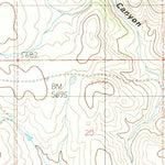 United States Geological Survey Nelson Canyon West, NM (1989, 24000-Scale) digital map