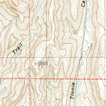 United States Geological Survey Nelson Canyon West, NM (1989, 24000-Scale) digital map