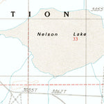 United States Geological Survey Nelson Lake, CA (1996, 24000-Scale) digital map