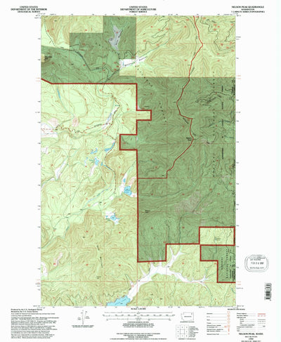 United States Geological Survey Nelson Peak, WA (1992, 24000-Scale) digital map