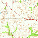United States Geological Survey Nelsonville, MO (1964, 24000-Scale) digital map