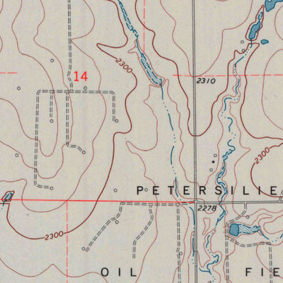 United States Geological Survey Ness City SW, KS (1970, 24000-Scale) digital map