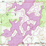 United States Geological Survey Nettle Lake, OH-MI (1961, 24000-Scale) digital map
