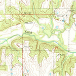 United States Geological Survey Nettleton, MO (1984, 24000-Scale) digital map