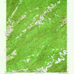 United States Geological Survey New Castle, VA-WV (1945, 62500-Scale) digital map