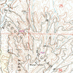 United States Geological Survey New Cuyama, CA (1964, 24000-Scale) digital map