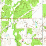 United States Geological Survey New Douglas, IL (1974, 24000-Scale) digital map