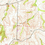 United States Geological Survey New Frankfort, MO (1951, 24000-Scale) digital map