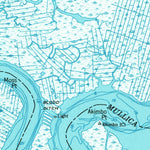 United States Geological Survey New Gretna, NJ (1951, 24000-Scale) digital map