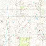 United States Geological Survey New Hampton, MO (1984, 24000-Scale) digital map