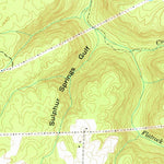 United States Geological Survey New Home, GA-AL-TN (1970, 24000-Scale) digital map