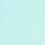 United States Geological Survey New Inlet, FL (1950, 24000-Scale) digital map