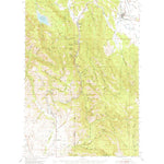 United States Geological Survey New Meadows, ID (1954, 62500-Scale) digital map