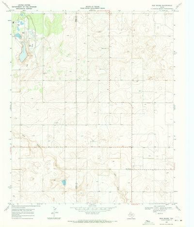 United States Geological Survey New Moore, TX (1969, 24000-Scale) digital map