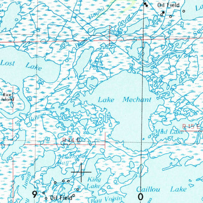 United States Geological Survey New Orleans, LA (1963, 250000-Scale) digital map