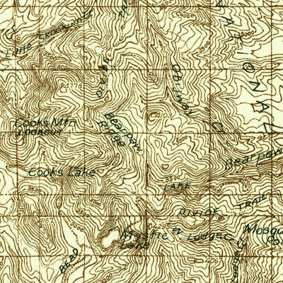 United States Geological Survey New Port, WA-ID (1936, 96000-Scale) digital map