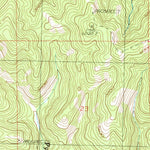 United States Geological Survey New Year, MT (1985, 24000-Scale) digital map