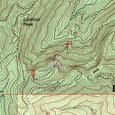 United States Geological Survey Newaukum Lake, WA (1998, 24000-Scale) digital map