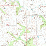 United States Geological Survey Newbern, IA (1982, 24000-Scale) digital map