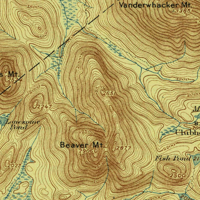 United States Geological Survey Newcomb, NY (1898, 62500-Scale) digital map