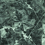 United States Geological Survey Newell, AL (1975, 24000-Scale) digital map