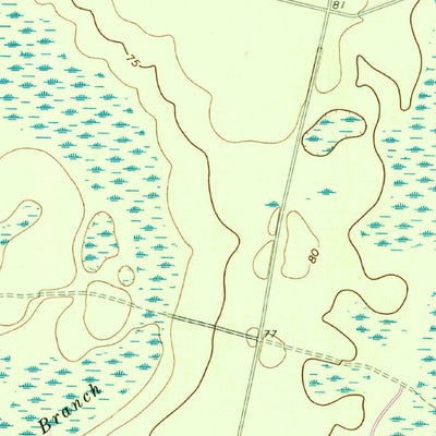 United States Geological Survey Newell, GA (1966, 24000-Scale) digital map