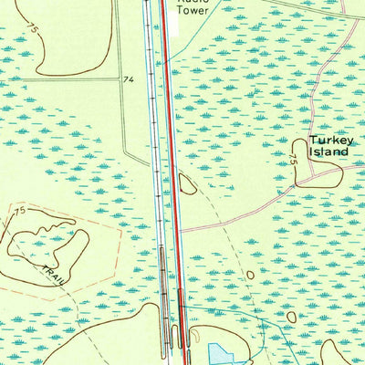 United States Geological Survey Newell, GA (1966, 24000-Scale) digital map