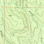 United States Geological Survey Newman Lake, WA-ID (1973, 24000-Scale) digital map