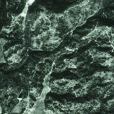 United States Geological Survey Newman Lake, WA-ID (1978, 24000-Scale) digital map
