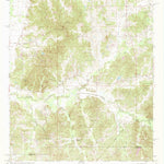 United States Geological Survey Newport, MS (1964, 24000-Scale) digital map