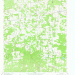 United States Geological Survey Newsome, TX (1960, 24000-Scale) digital map