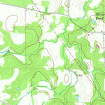 United States Geological Survey Newsome, TX (1960, 24000-Scale) digital map