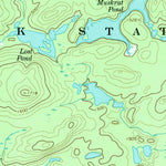 United States Geological Survey Newton Falls, NY (1968, 24000-Scale) digital map