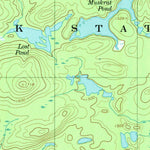 United States Geological Survey Newton Falls, NY (1999, 24000-Scale) digital map