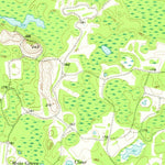 United States Geological Survey Newton, GA (1956, 62500-Scale) digital map