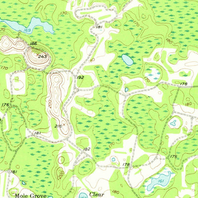 United States Geological Survey Newton, GA (1956, 62500-Scale) digital map