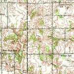 United States Geological Survey Newton, IL (1941, 62500-Scale) digital map