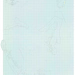 United States Geological Survey Ngcheangel, PW (1984, 25000-Scale) digital map