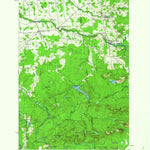 United States Geological Survey Nicholville, NY (1919, 62500-Scale) digital map