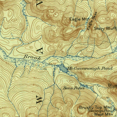 United States Geological Survey Nicholville, NY (1921, 62500-Scale) digital map