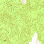 United States Geological Survey Nicklesville, GA (1974, 24000-Scale) digital map