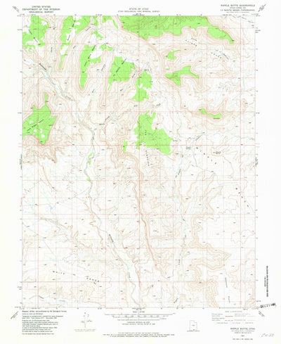United States Geological Survey Nipple Butte, UT (1981, 24000-Scale) digital map