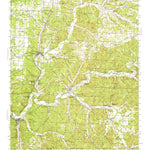 United States Geological Survey Noel, MO (1940, 62500-Scale) digital map