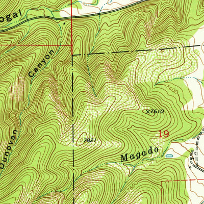 United States Geological Survey Nogal, NM (1973, 24000-Scale) digital map