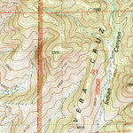 United States Geological Survey Nogal, NM (2004, 24000-Scale) digital map