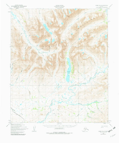 United States Geological Survey Nome D-2, AK (1950, 63360-Scale) digital map
