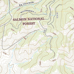 United States Geological Survey North Fork, ID (2020, 24000-Scale) digital map