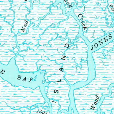 United States Geological Survey North Island, SC (1942, 24000-Scale) digital map
