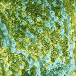 United States Geological Survey North Of Fiftymile Bend, FL (1973, 24000-Scale) digital map